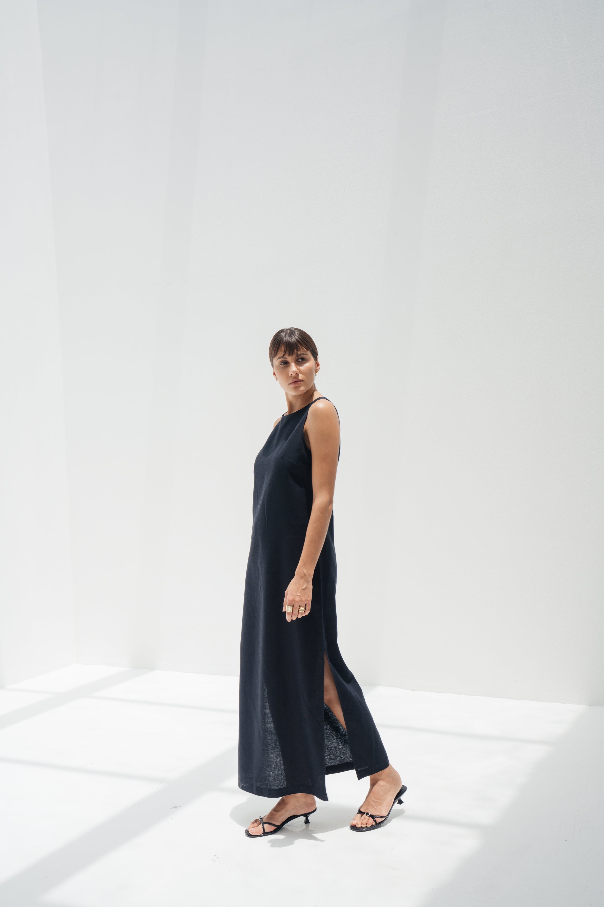 Ara Linen Dress