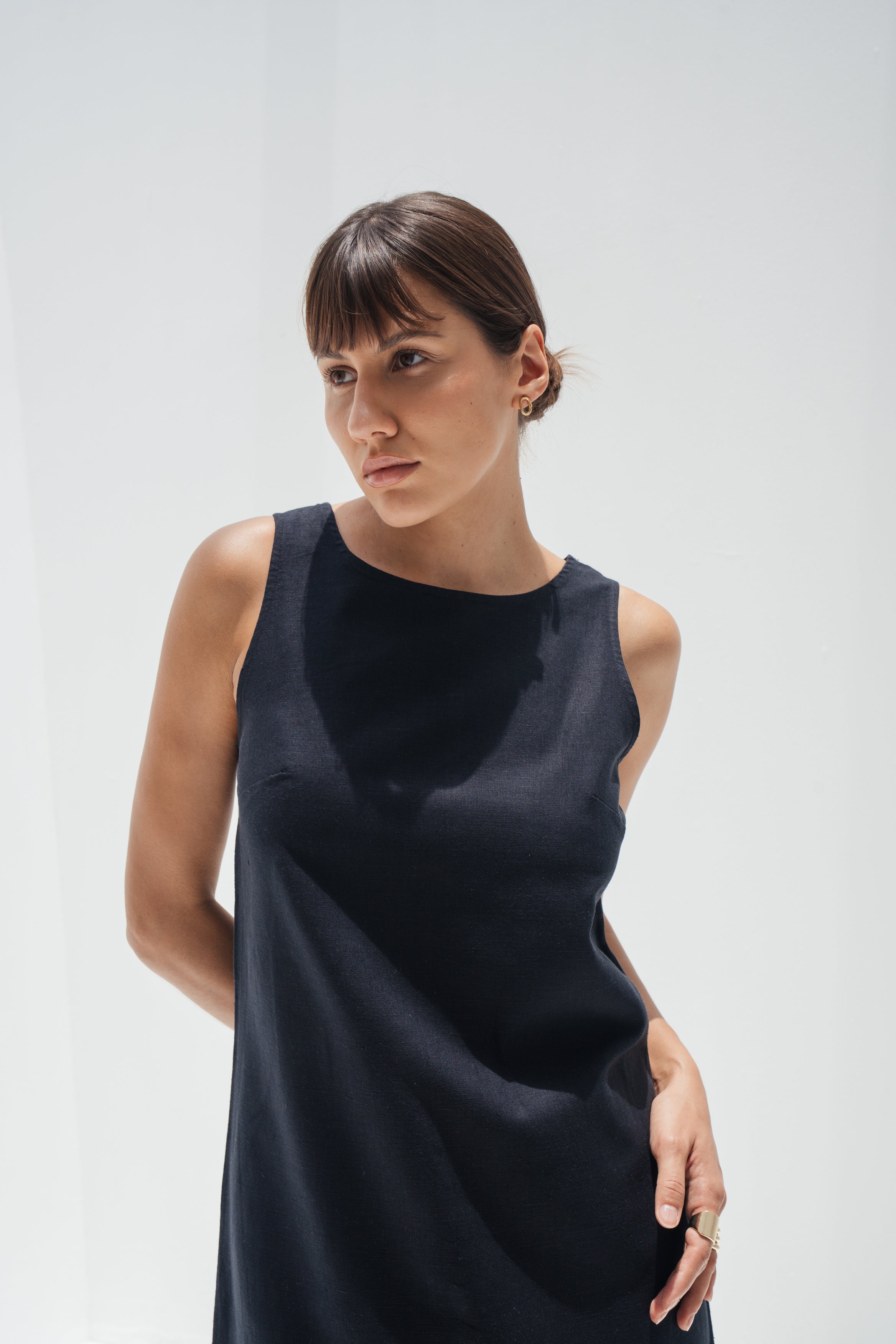 Ara Linen Dress