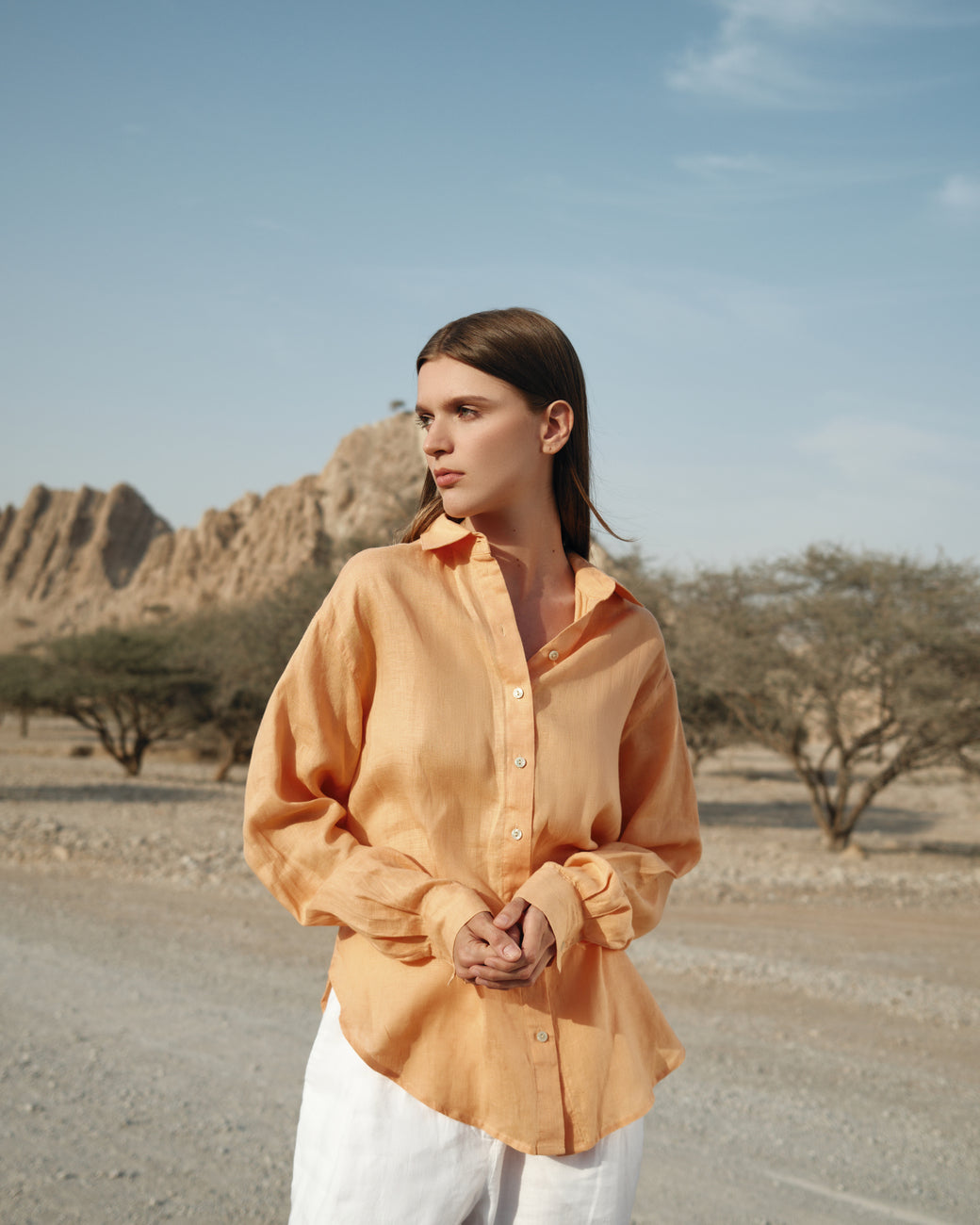 Barbara Linen Shirt