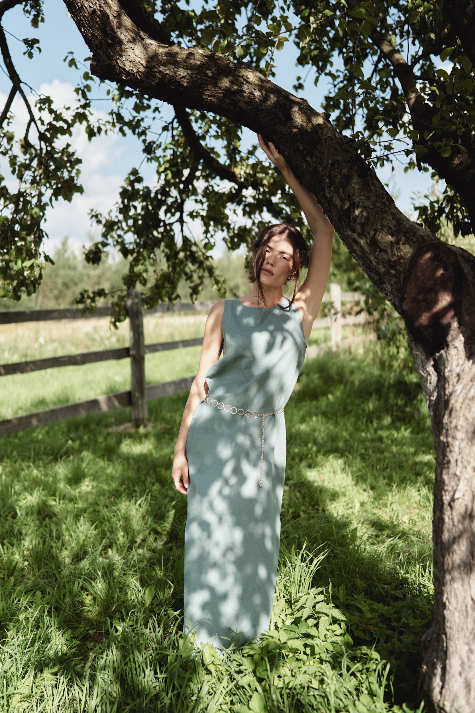 Ara Linen Dress