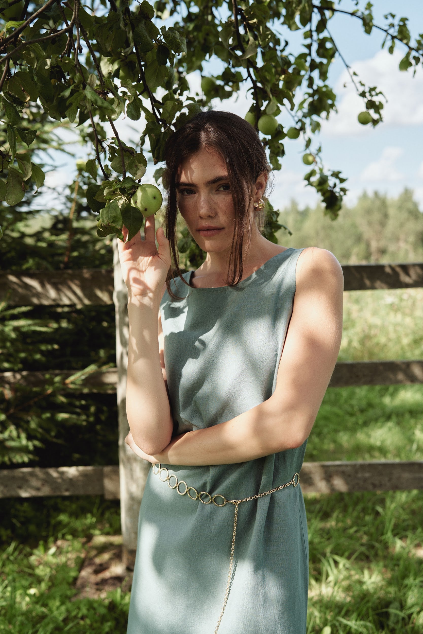 Ara Linen Dress