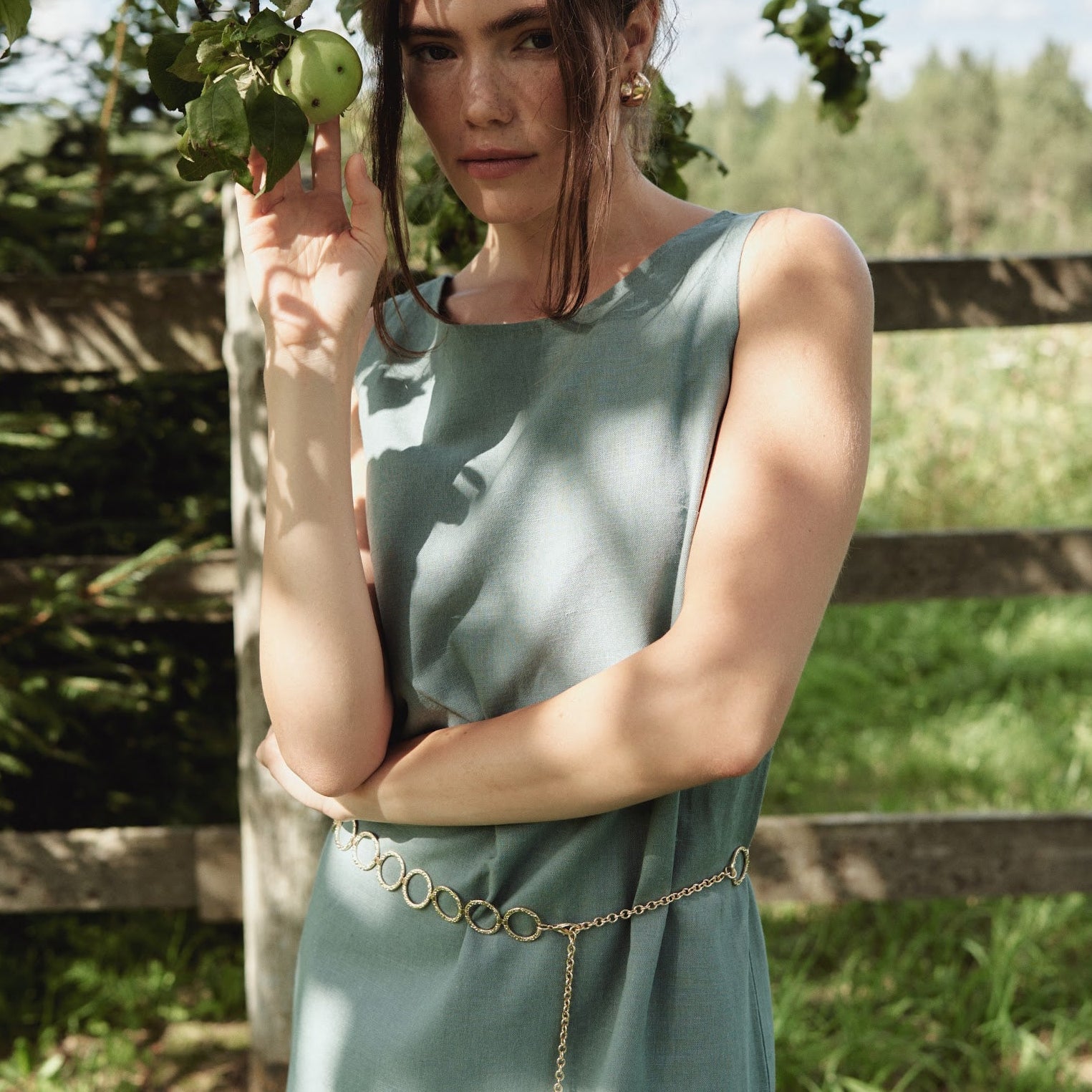Ara Linen Dress