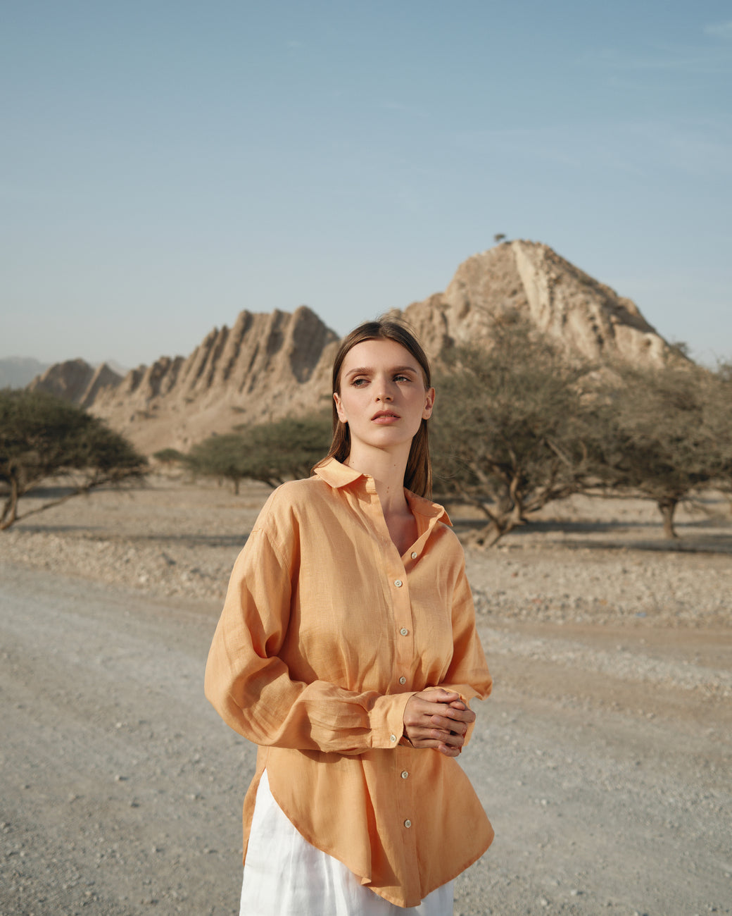Barbara Linen Shirt